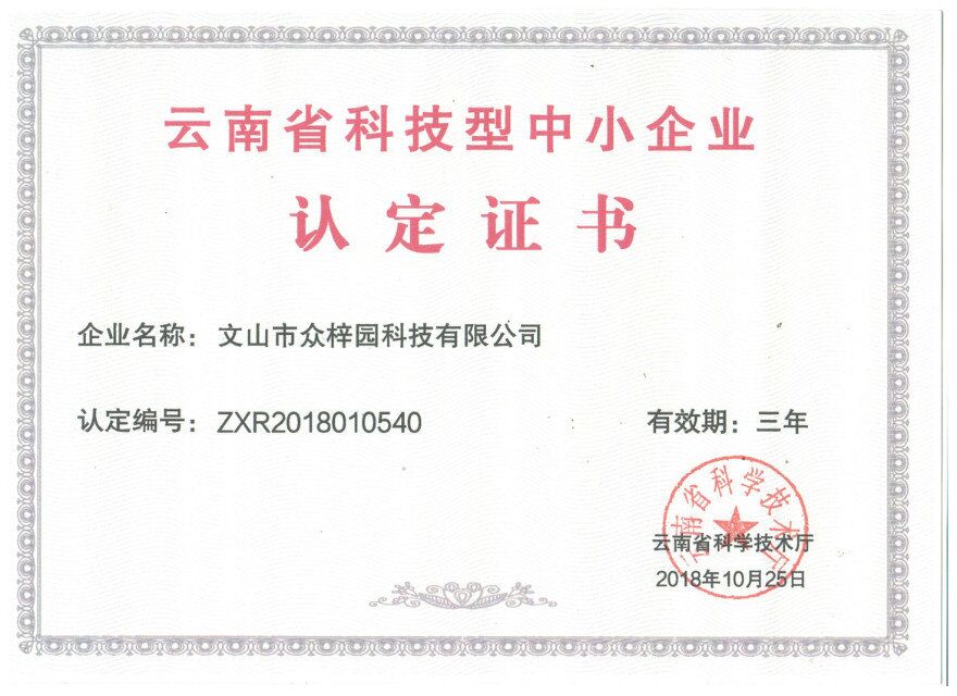 云南省科技形中小企业荣誉